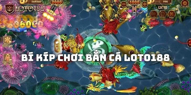 Bắn cá Loto188 - Game giải trí sôi động kiếm thưởng bạc triệu 3 Kinh nghiệm chơi Bắn cá Loto188 ăn tiền cực chuẩn